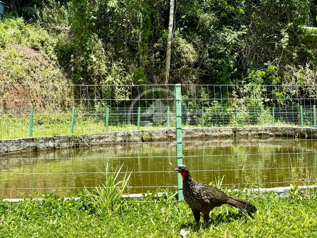 Image 34 - Casa Condomínio em Três Córregos, Teresópolis - RJ