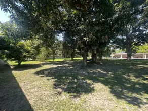 Imagem 3 - Casa em Citrolândia, Magé - RJ