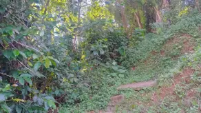 Imagem 4 - Terreno em Granja Guarani, Teresópolis - RJ
