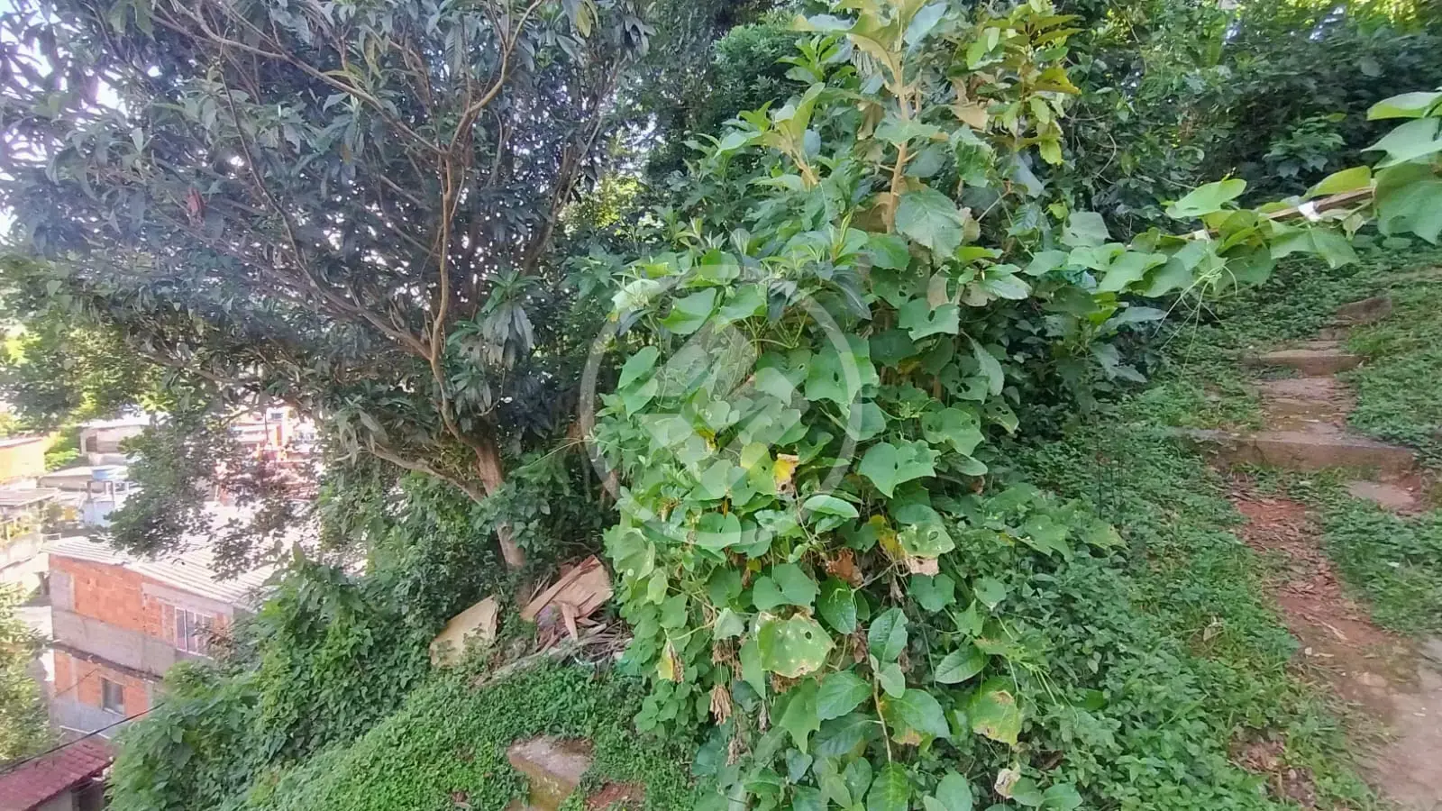 Imagem 5 - Terreno em Granja Guarani, Teresópolis - RJ