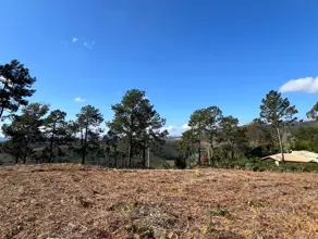 Imagem 2 - Terreno em Fazenda Suiça, Teresópolis - RJ