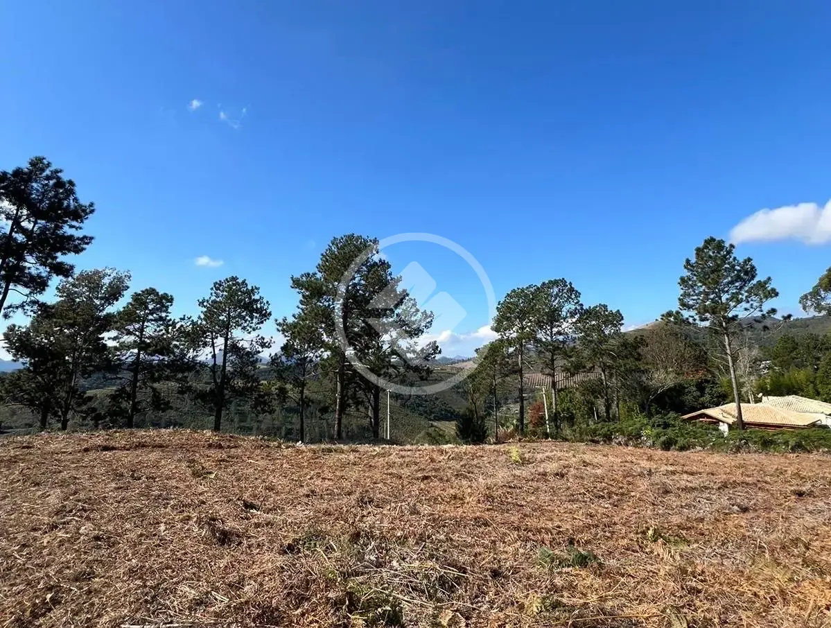 Imagem 2 - Terreno em Fazenda Suiça, Teresópolis - RJ