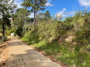 Imagem 3 - Terreno em Fazenda Suiça, Teresópolis - RJ