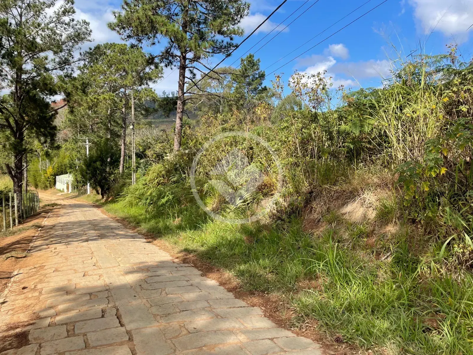 Imagem 5 - Terreno em Fazenda Suiça, Teresópolis - RJ