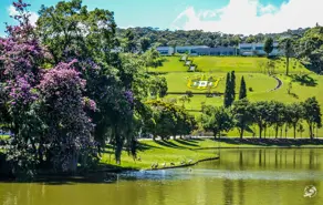Imagem 6 - Apartamento em Agriões, Teresópolis - RJ