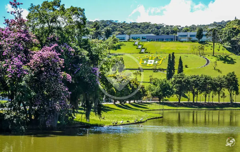 Imagem 6 - Apartamento em Agriões, Teresópolis - RJ