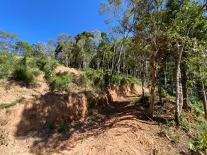 Imagem 3 - Terreno em Carlos Guinle, Teresópolis - RJ