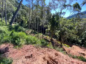 Imagem 5 - Terreno em Carlos Guinle, Teresópolis - RJ