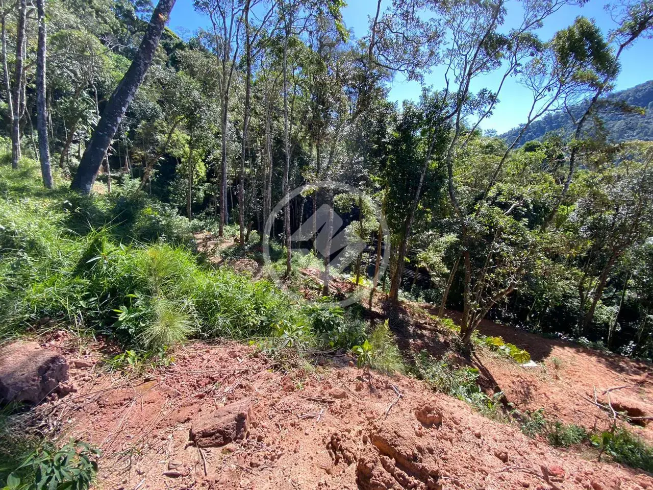 Imagem 5 - Terreno em Carlos Guinle, Teresópolis - RJ