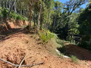 Imagem 2 - Terreno em Carlos Guinle, Teresópolis - RJ