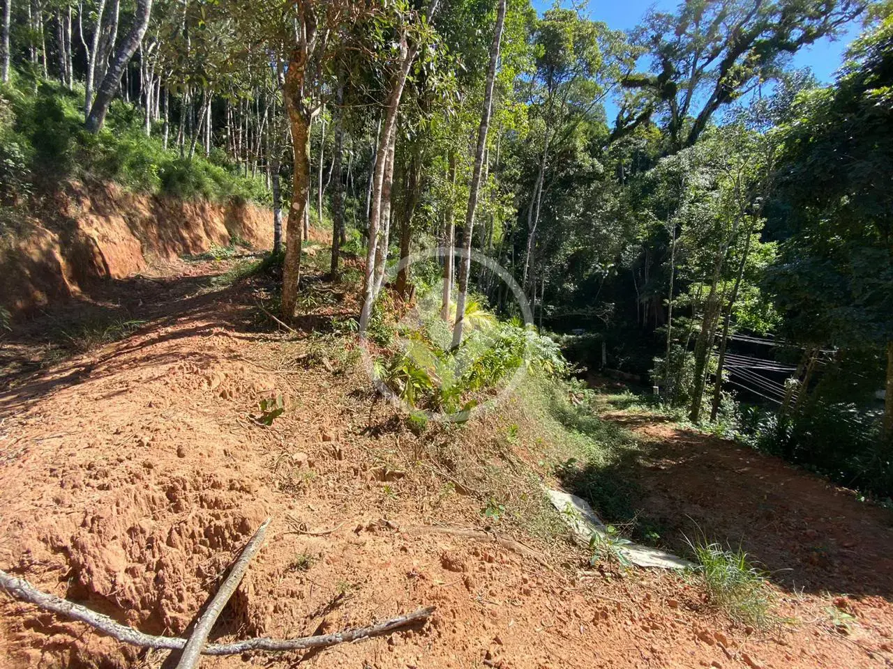 Imagem 2 - Terreno em Carlos Guinle, Teresópolis - RJ