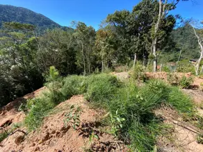 Imagem 4 - Terreno em Carlos Guinle, Teresópolis - RJ