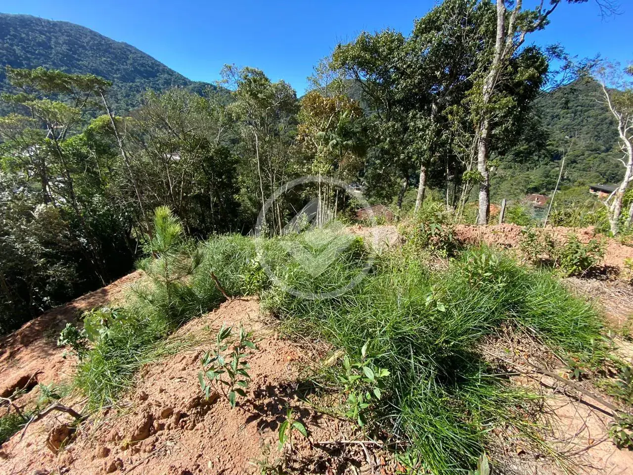 Imagem 4 - Terreno em Carlos Guinle, Teresópolis - RJ