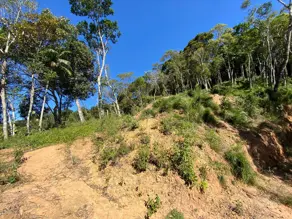 Imagem 6 - Terreno em Carlos Guinle, Teresópolis - RJ