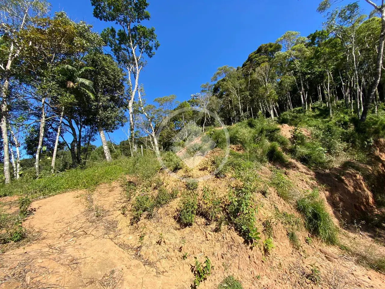 Imagem 6 - Terreno em Carlos Guinle, Teresópolis - RJ