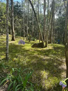 Terreno Quebra Frascos, Teresópolis - RJ — foto 1
