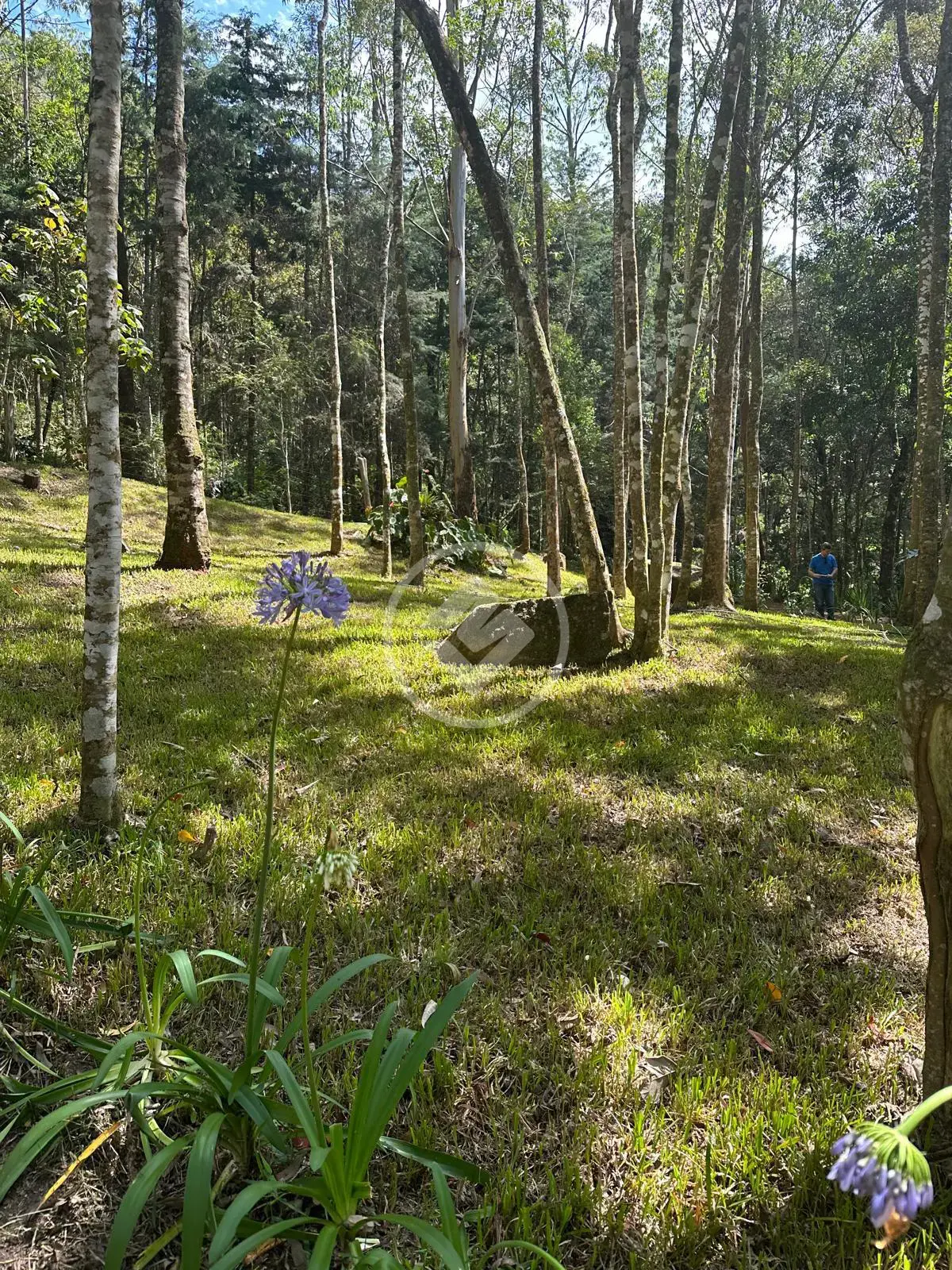 Imagem 1 - Terreno em Quebra Frascos, Teresópolis - RJ
