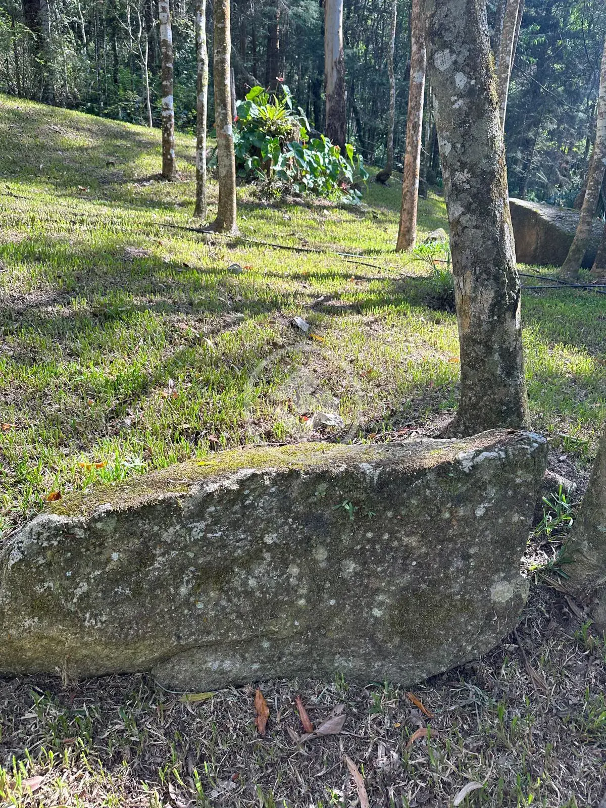 Imagem 5 - Terreno em Quebra Frascos, Teresópolis - RJ
