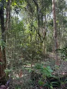 Imagem 6 - Terreno em Quebra Frascos, Teresópolis - RJ
