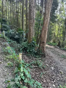Imagem 3 - Terreno em Quebra Frascos, Teresópolis - RJ
