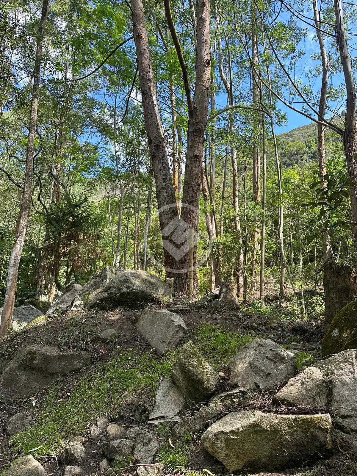 Imagem 1 - Terreno em Quebra Frascos, Teresópolis - RJ