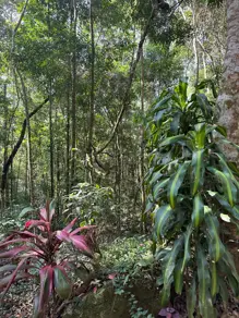 Imagem 2 - Terreno em Quebra Frascos, Teresópolis - RJ