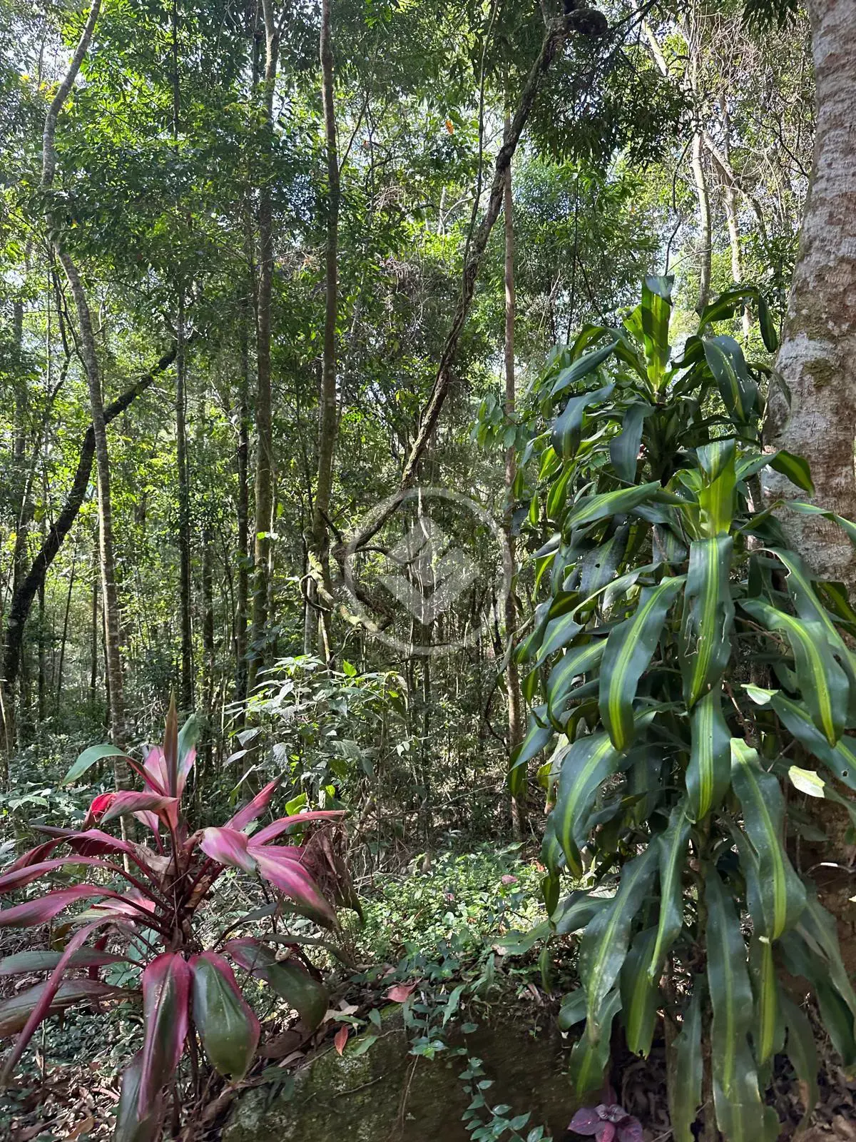 Imagem 2 - Terreno em Quebra Frascos, Teresópolis - RJ