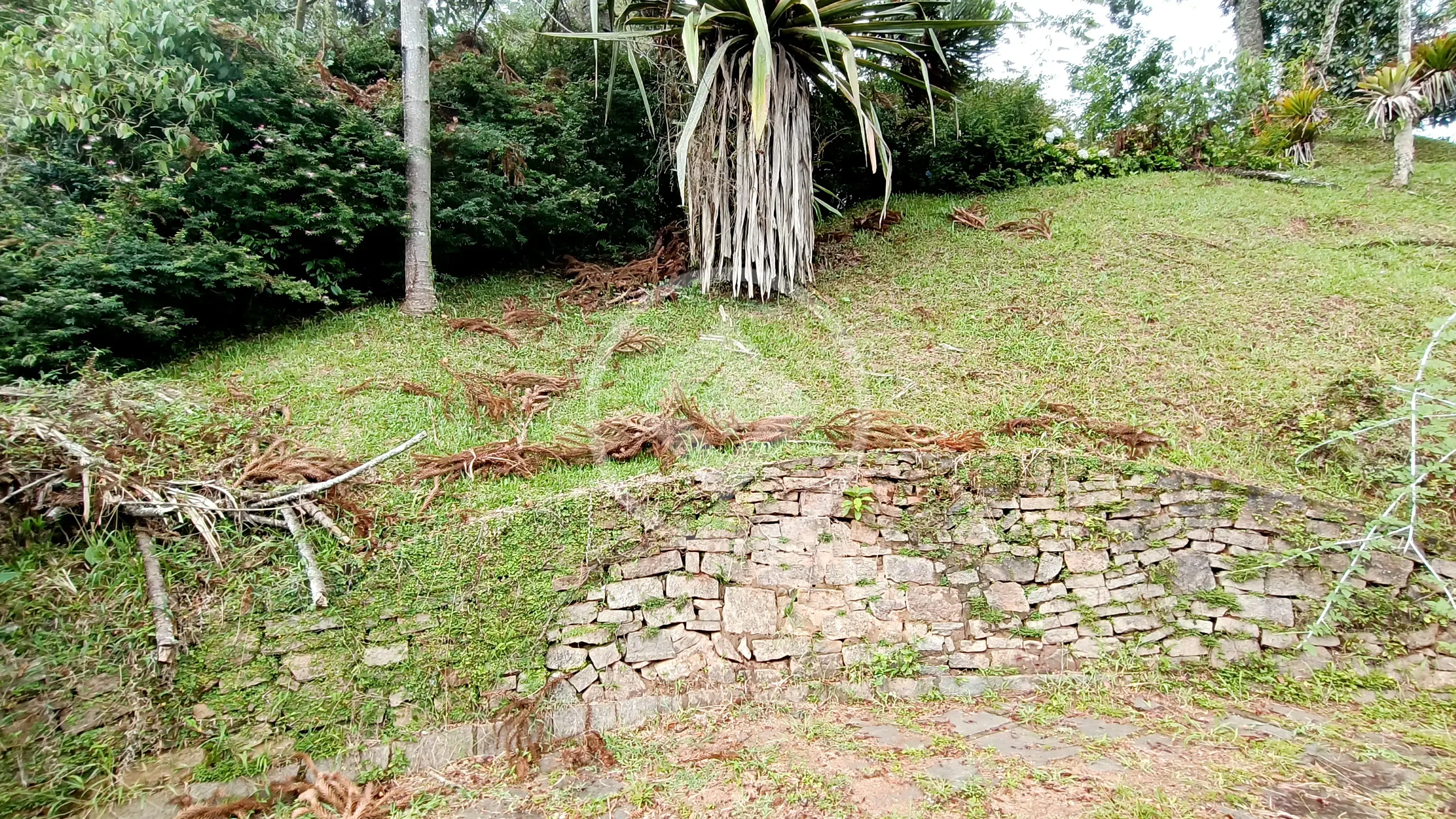 Imagem 4 - Terreno em Parque do Ingá, Teresópolis - RJ