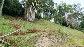 Imagem 5 - Terreno em Parque do Ingá, Teresópolis - RJ