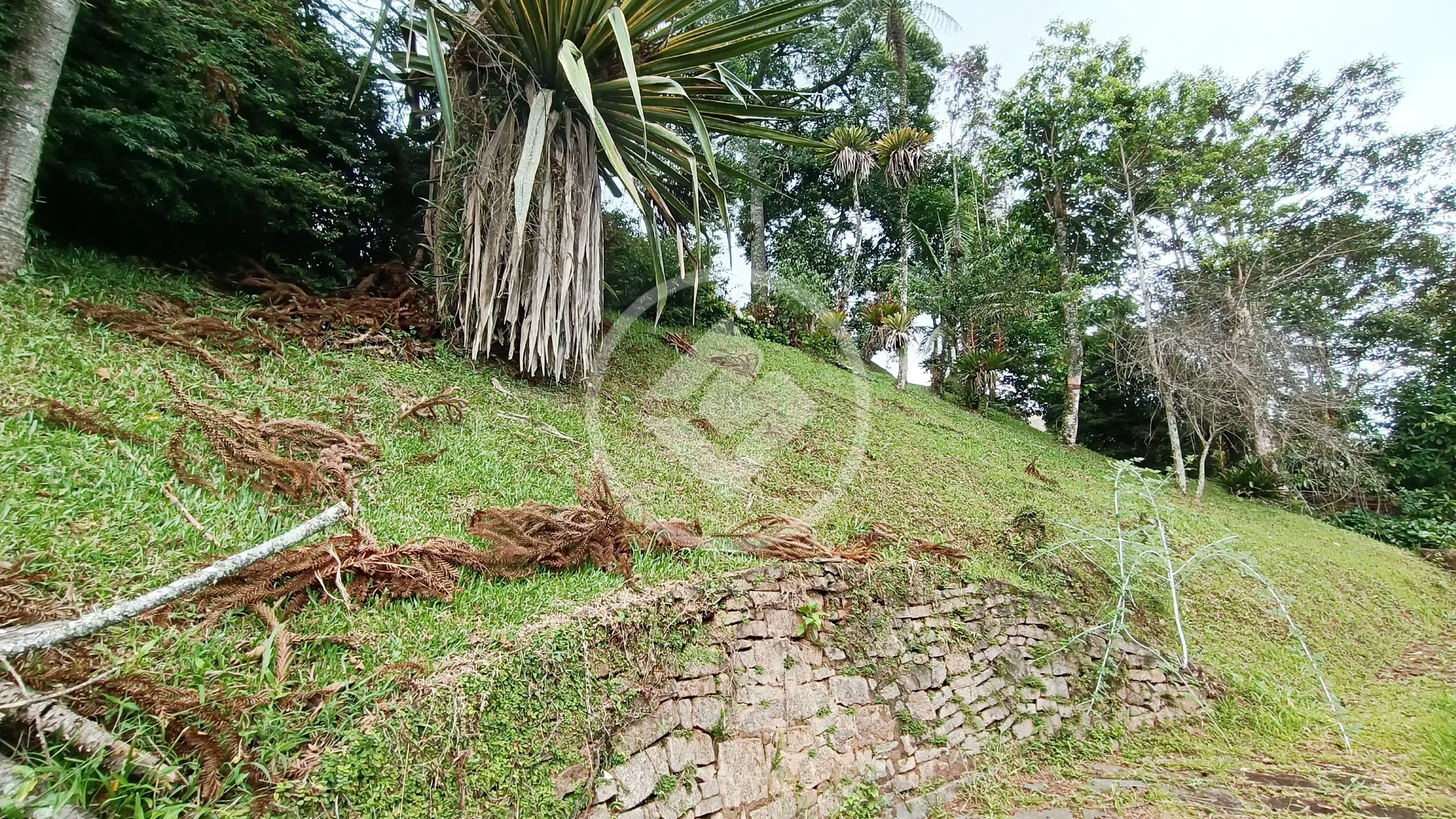 Imagem 5 - Terreno em Parque do Ingá, Teresópolis - RJ