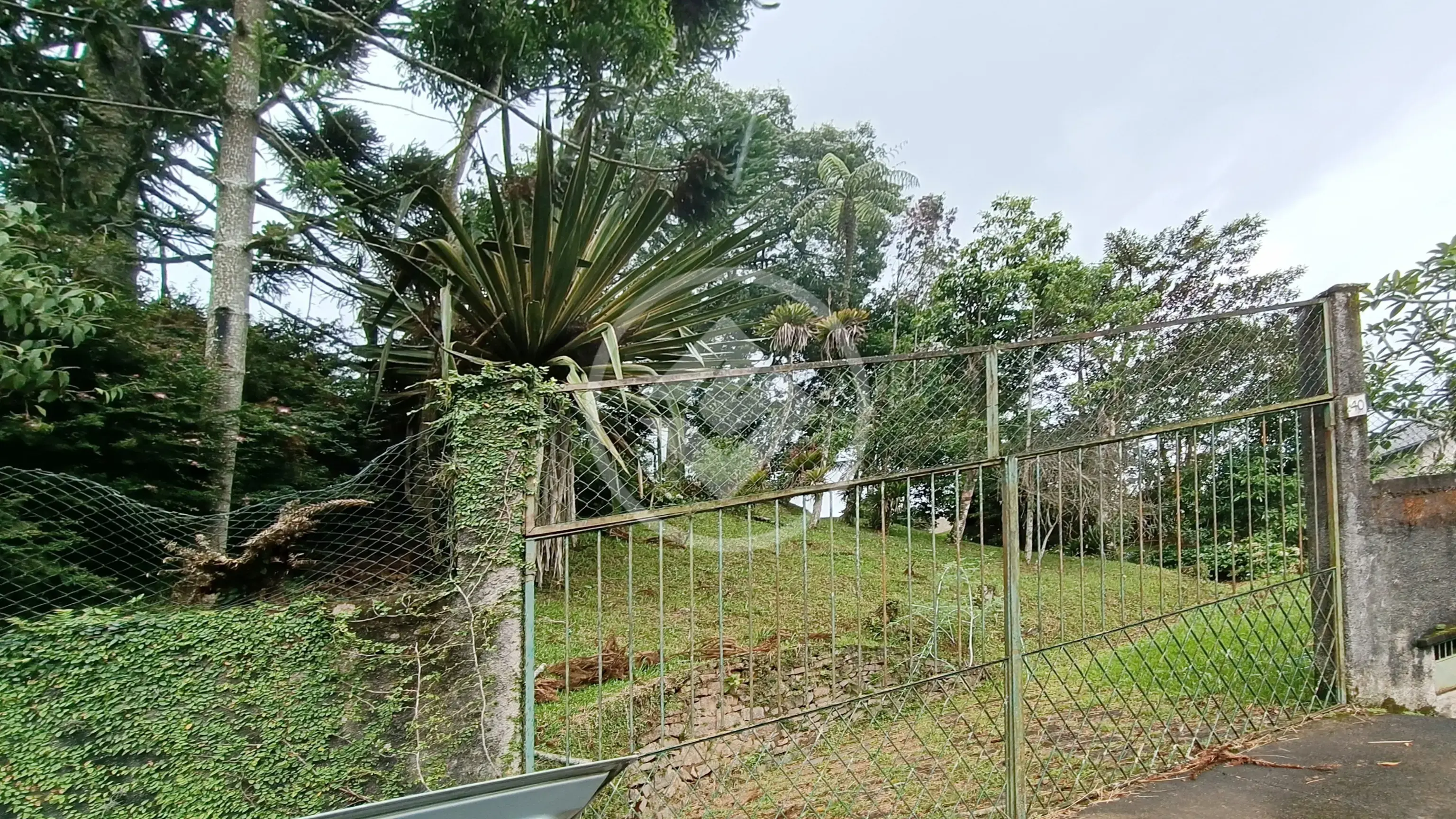 Imagem 6 - Terreno em Parque do Ingá, Teresópolis - RJ