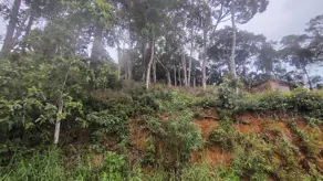 Terreno Condomínio Prata, Teresópolis - RJ — foto 2