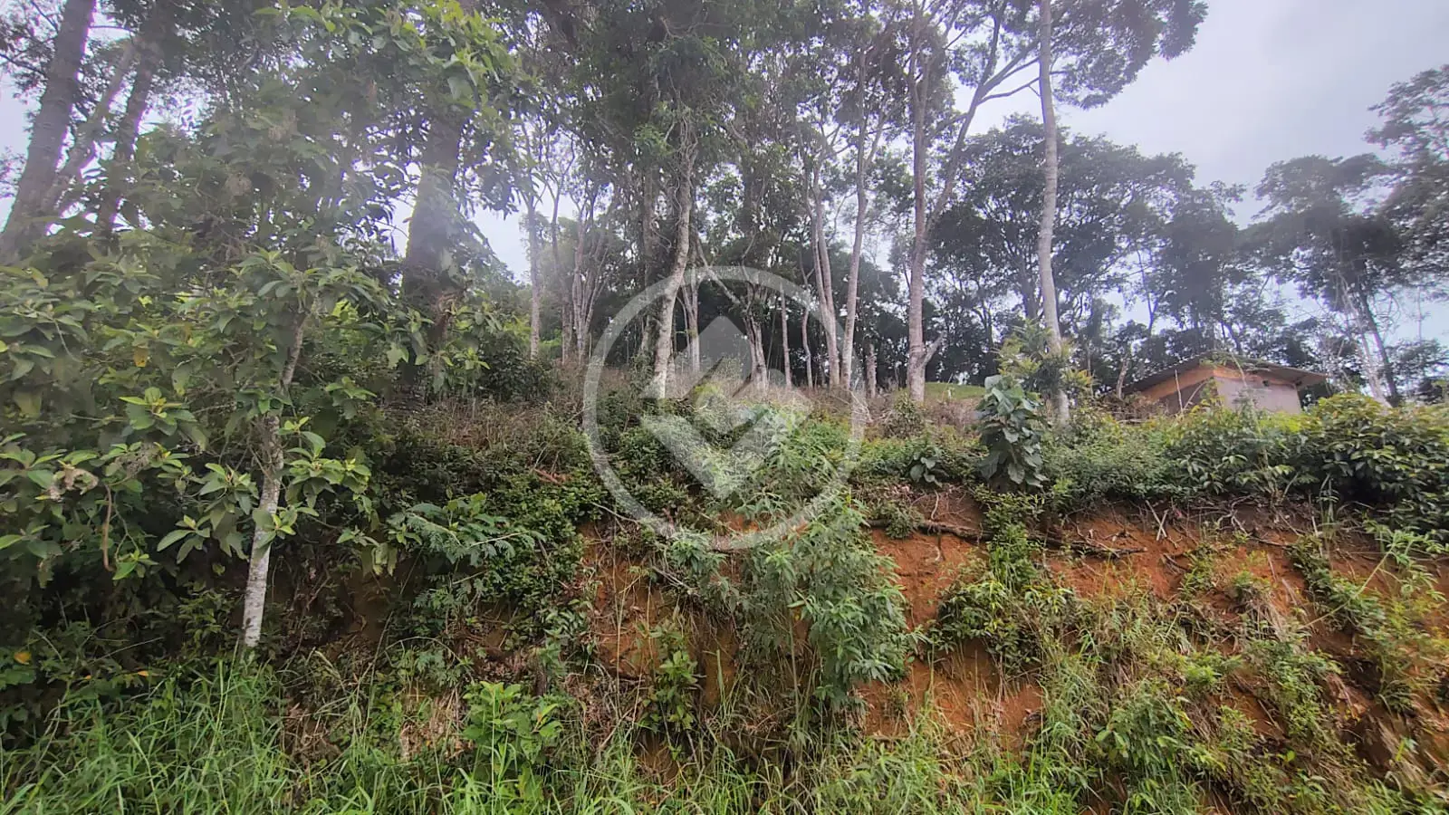 Imagem 1 - Terreno Condomínio em Prata, Teresópolis - RJ