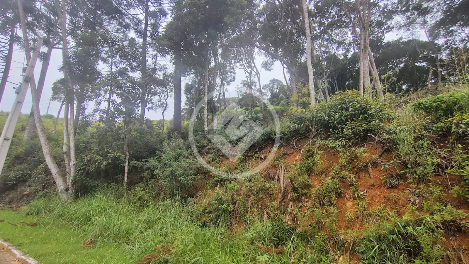 Imagem 1 - Terreno Condomínio em Prata, Teresópolis - RJ