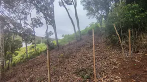 Imagem 5 - Terreno Condomínio em Prata, Teresópolis - RJ