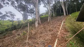 Imagem 3 - Terreno Condomínio em Prata, Teresópolis - RJ