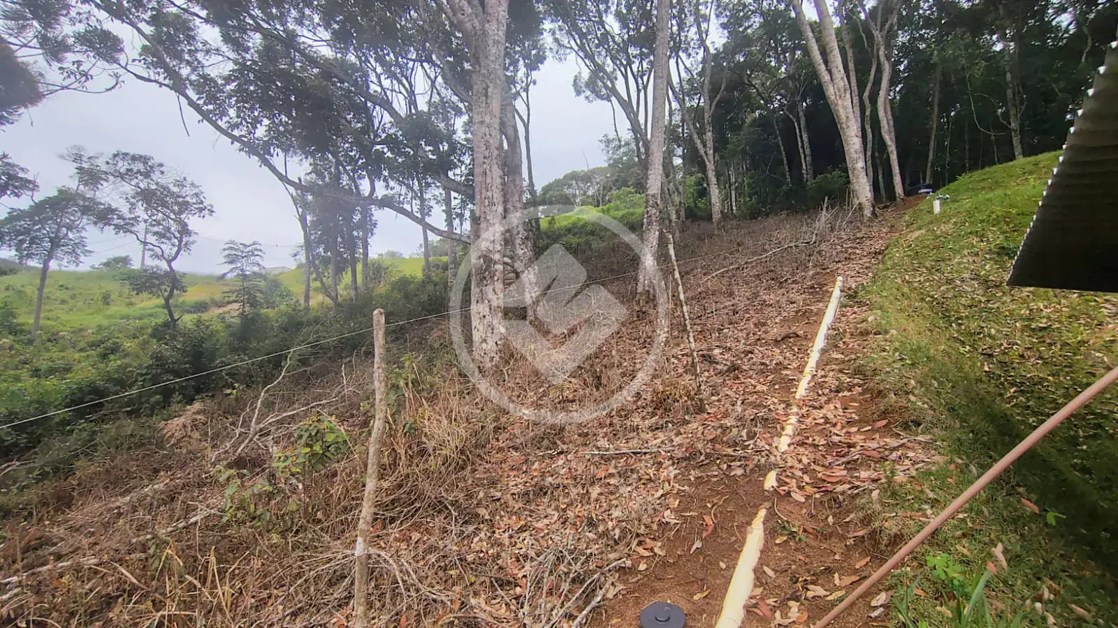 Imagem 3 - Terreno Condomínio em Prata, Teresópolis - RJ