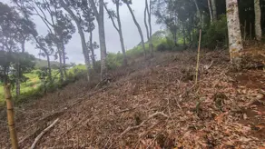 Imagem 6 - Terreno Condomínio em Prata, Teresópolis - RJ