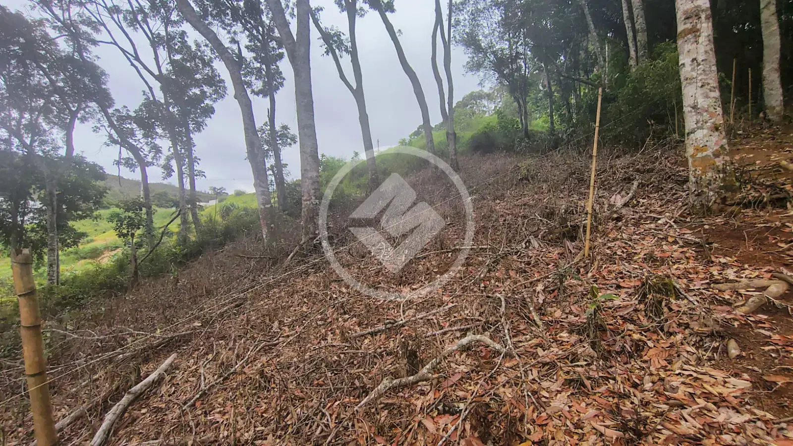 Imagem 6 - Terreno Condomínio em Prata, Teresópolis - RJ