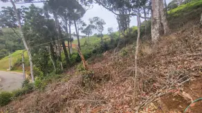 Imagem 4 - Terreno Condomínio em Prata, Teresópolis - RJ