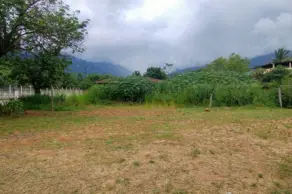 Imagem 6 - Terreno em Caneca Fina, Guapimirim - RJ