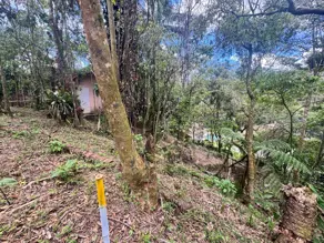 Imagem 3 - Terreno Condomínio em Carlos Guinle, Teresópolis - RJ
