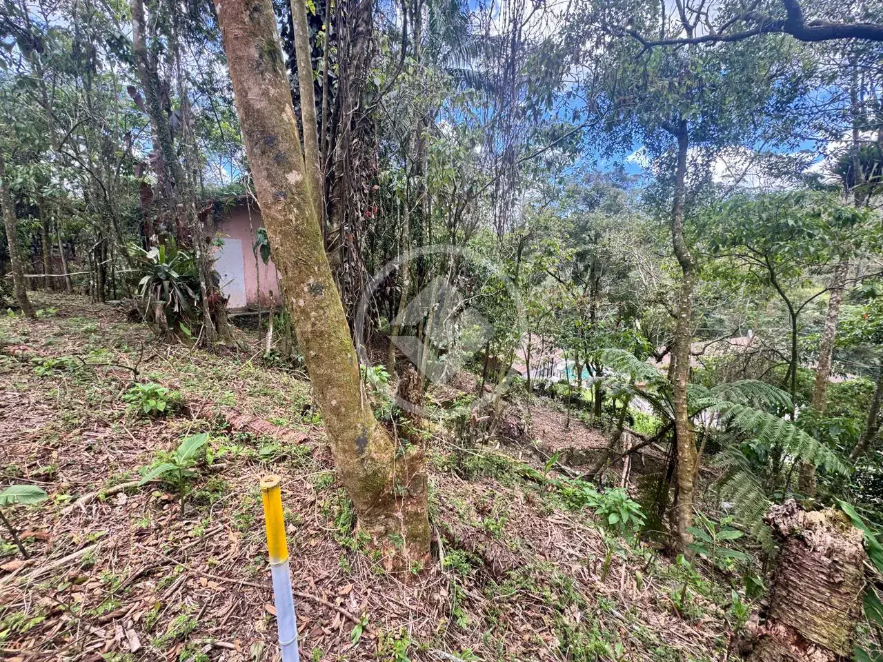 Imagem 3 - Terreno Condomínio em Carlos Guinle, Teresópolis - RJ