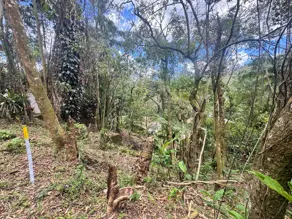 Imagem 4 - Terreno Condomínio em Carlos Guinle, Teresópolis - RJ