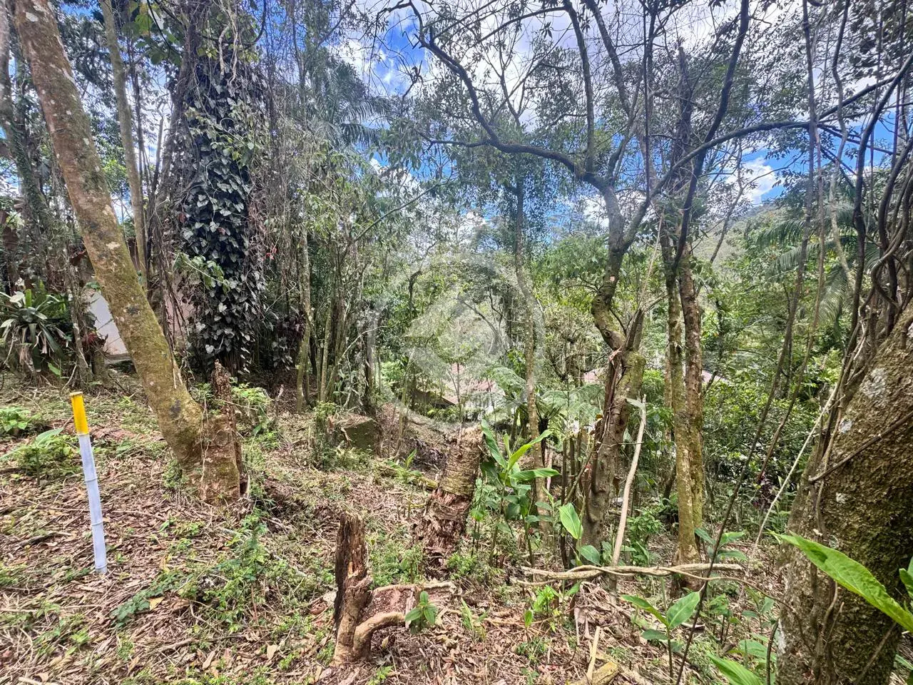 Imagem 4 - Terreno Condomínio em Carlos Guinle, Teresópolis - RJ