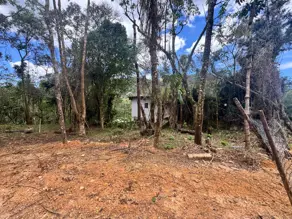 Imagem 6 - Terreno Condomínio em Carlos Guinle, Teresópolis - RJ