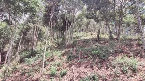Imagem 3 - Terreno em Vale do Paraíso, Teresópolis - RJ