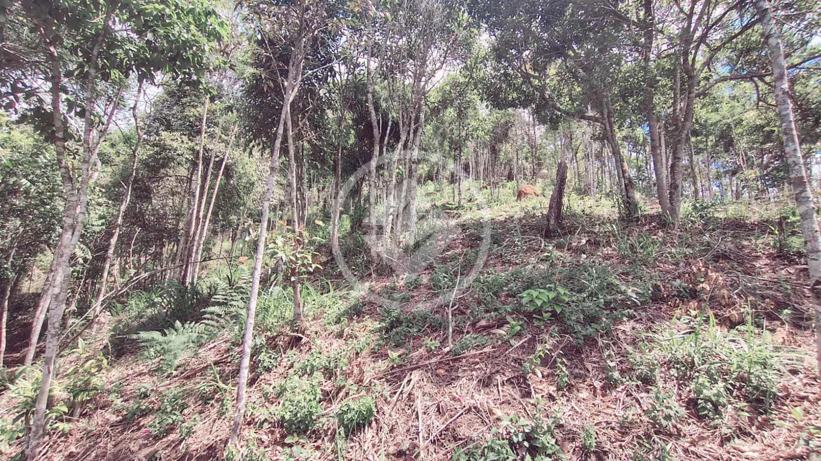 Imagem 3 - Terreno em Vale do Paraíso, Teresópolis - RJ