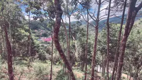 Imagem 5 - Terreno em Vale do Paraíso, Teresópolis - RJ