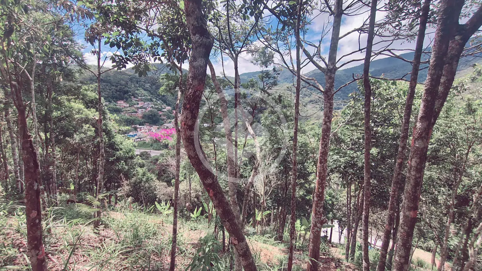 Imagem 5 - Terreno em Vale do Paraíso, Teresópolis - RJ